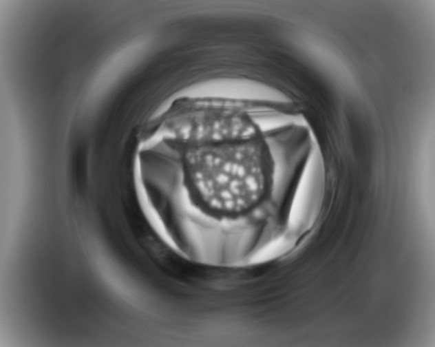 X0000083580191200703091706