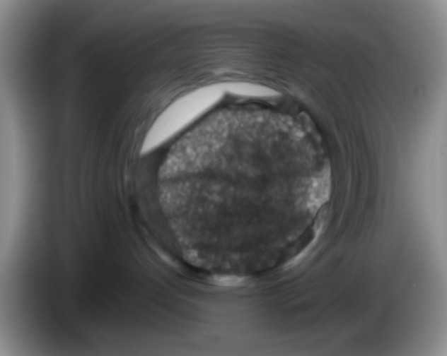 X0000083580192200703091706