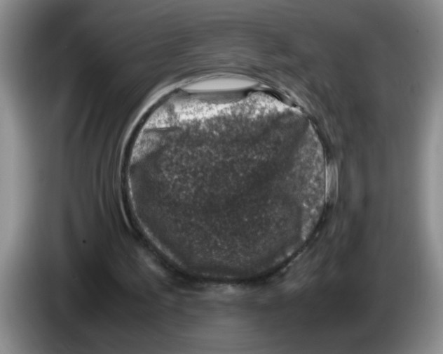 X0000083580195200703091705