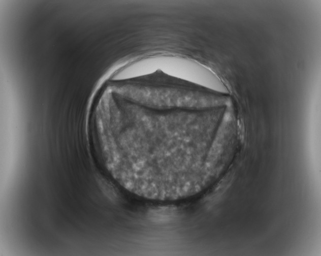 X0000083580196200703091705
