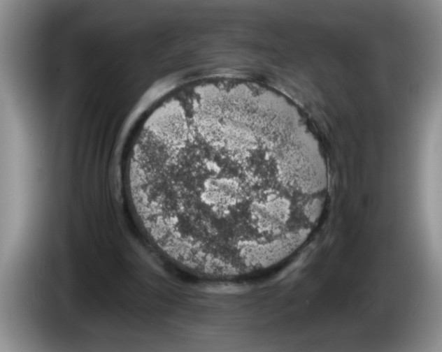 X0000083580198200703091705