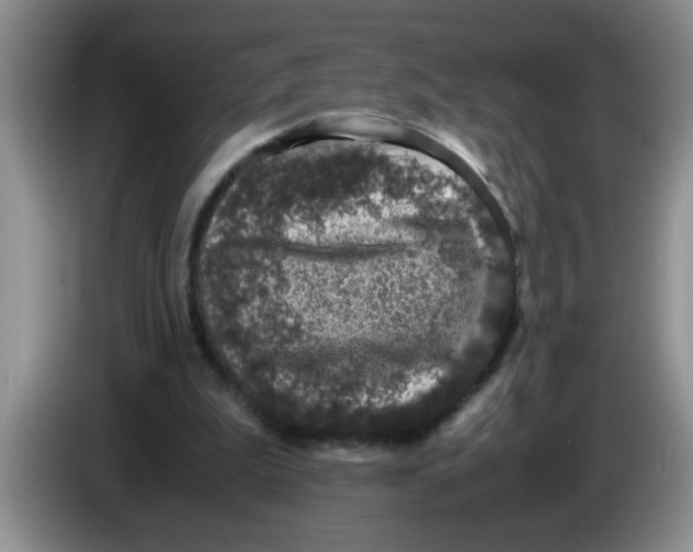 X0000083580199200703091705