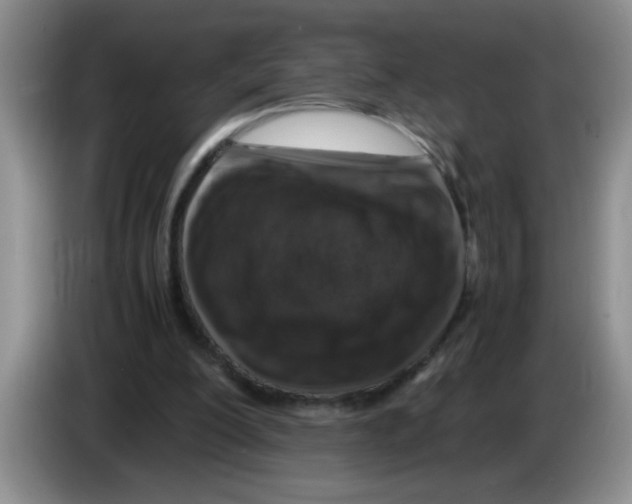 X0000083580200200703091705