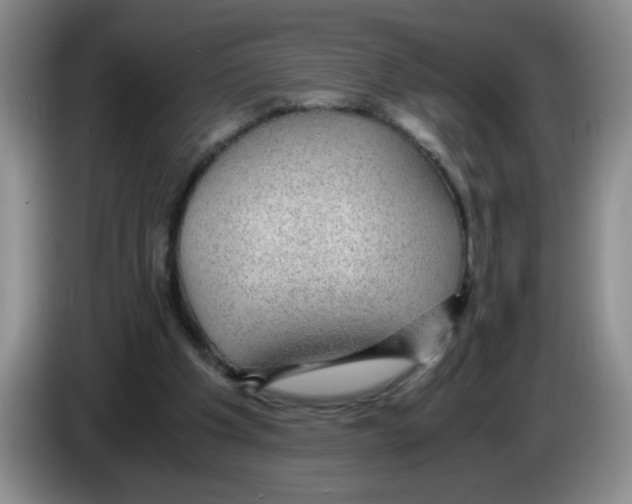 X0000083580201200703091705