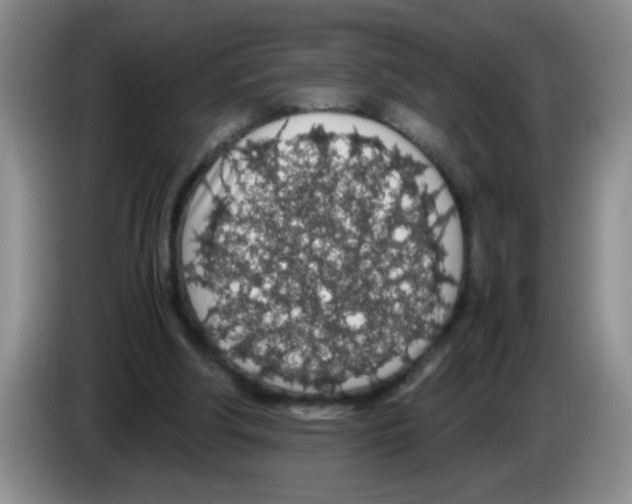 X0000083580202200703091705