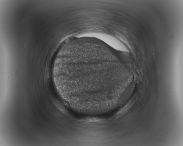 X0000083580203200703091705