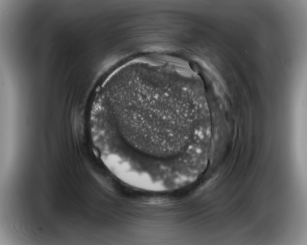 X0000083580204200703091705