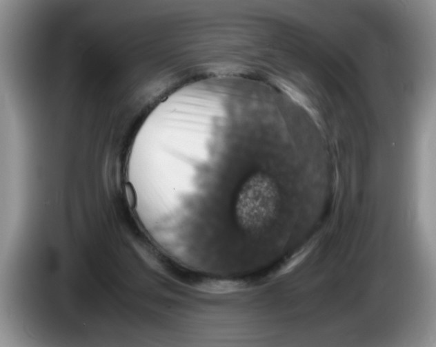 X0000083580205200703091705