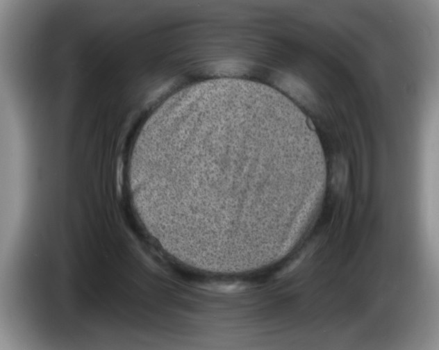X0000083580206200703091705