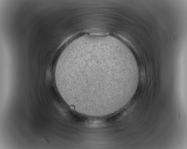 X0000083580208200703091705