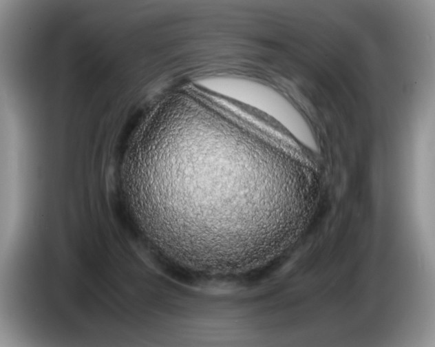 X0000083580209200703091705