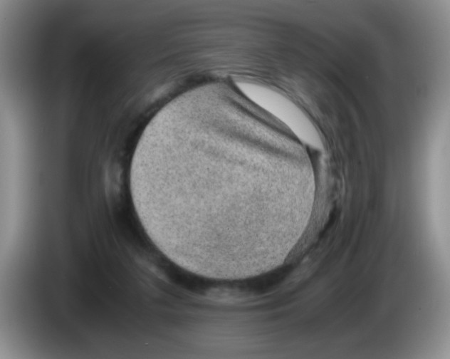 X0000083580211200703091705