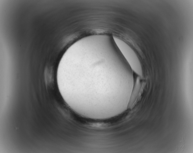 X0000083580212200703091705