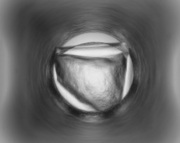 X0000083580213200703091705