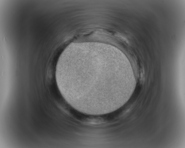 X0000083580215200703091705