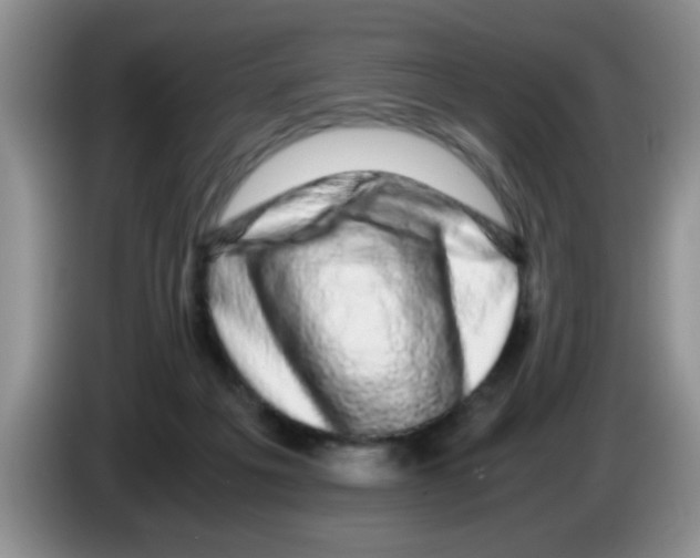 X0000083580217200703091705