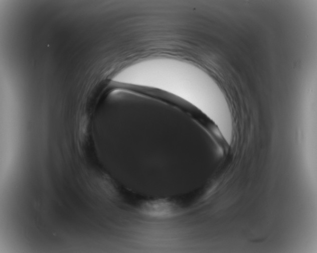 X0000083580219200703091705