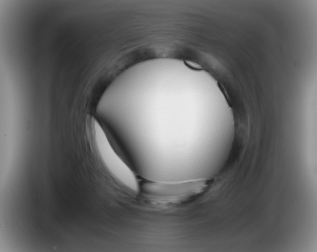 X0000083580221200703091705