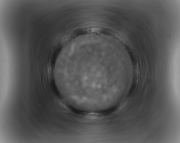 X0000083580222200703091705