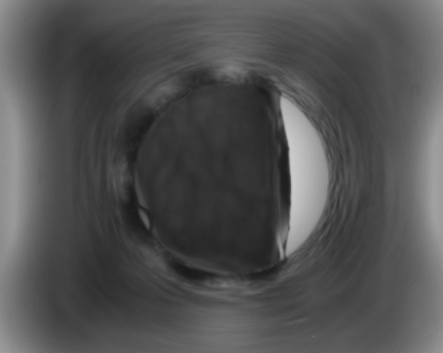 X0000083580223200703091705