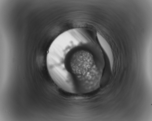 X0000083580224200703091705