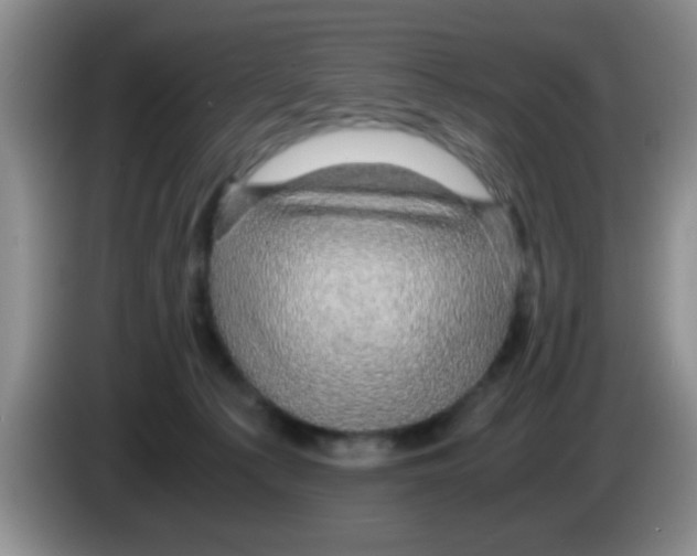 X0000083580225200703091705