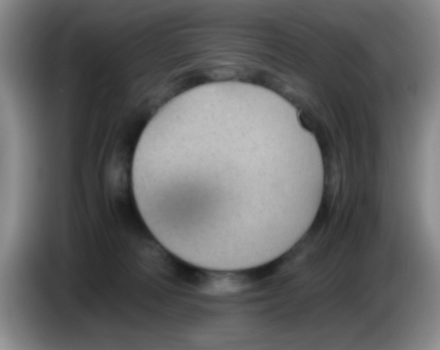 X0000083580226200703091705