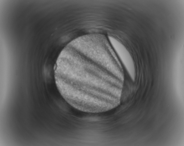 X0000083580228200703091705