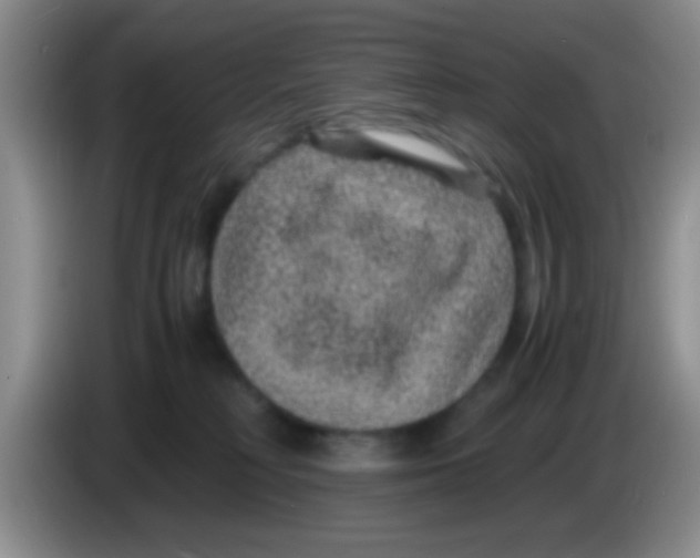X0000083580230200703091705