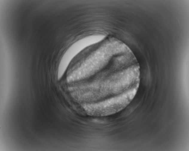 X0000083580232200703091705