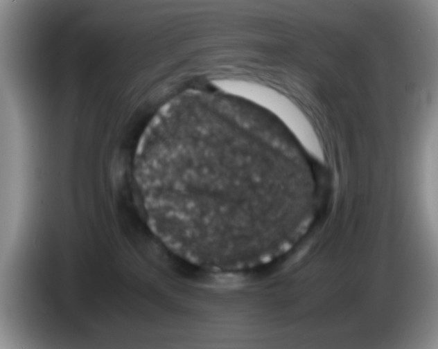 X0000083580233200703091705