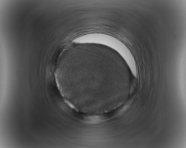 X0000083580237200703091705
