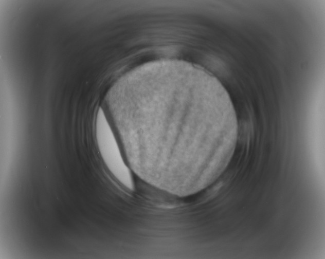 X0000083580238200703091705