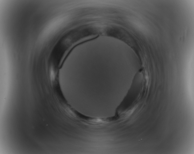 X0000083580239200703091705