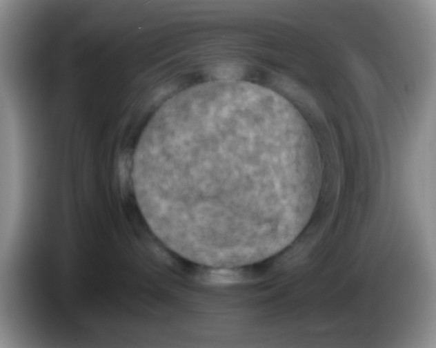 X0000083580240200703091705