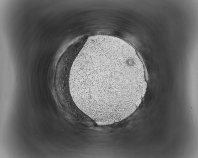 X0000083580241200703091704