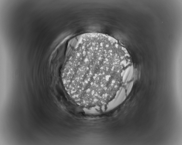 X0000083580243200703091704