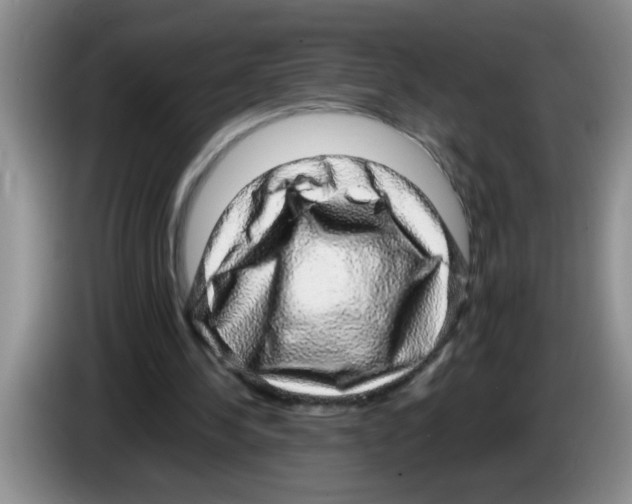 X0000083580244200703091704