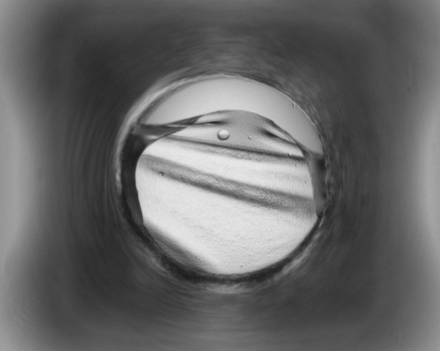 X0000083580246200703091704