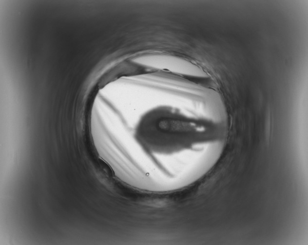 X0000083580247200703091704