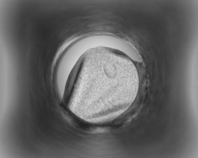 X0000083580248200703091704
