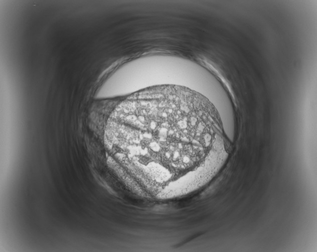 X0000083580249200703091704
