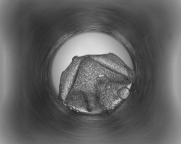 X0000083580250200703091704