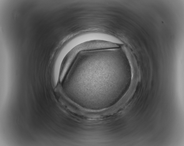 X0000083580252200703091704