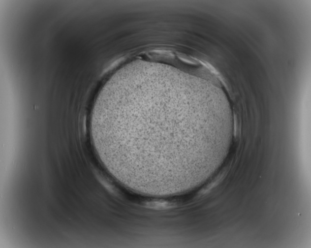 X0000083580253200703091704