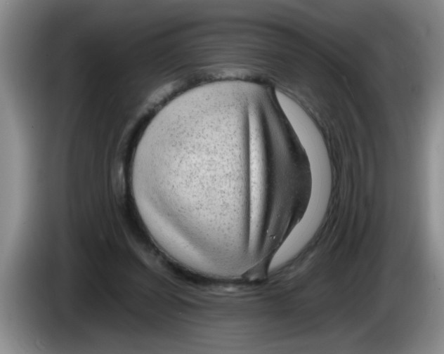 X0000083580254200703091704