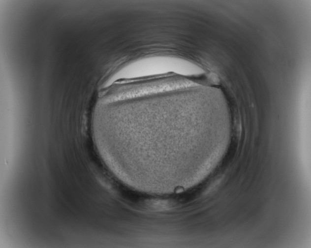 X0000083580255200703091704