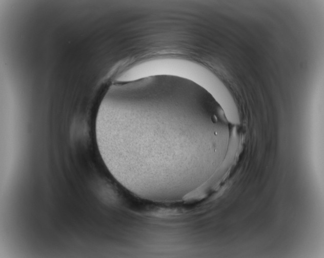 X0000083580256200703091704
