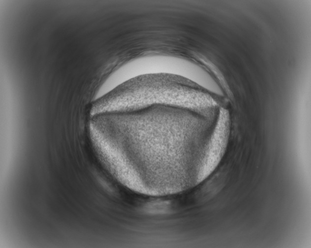 X0000083580257200703091704
