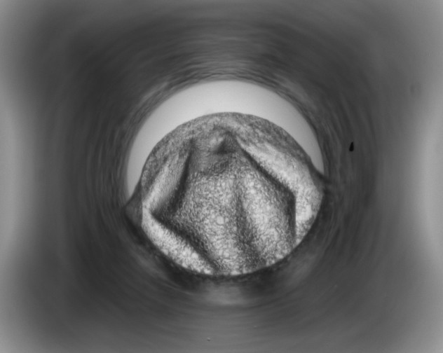 X0000083580258200703091704